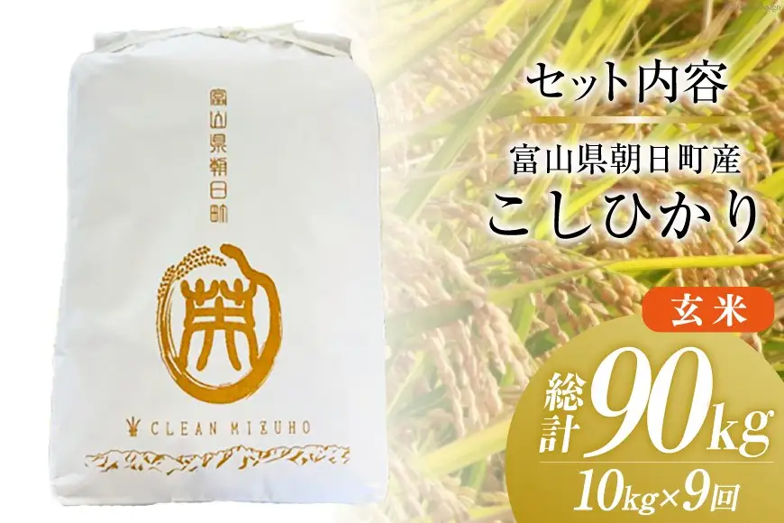 米 令和8年産 こしひかり 玄米 10kg 【9ヶ月定期便】 計90kg