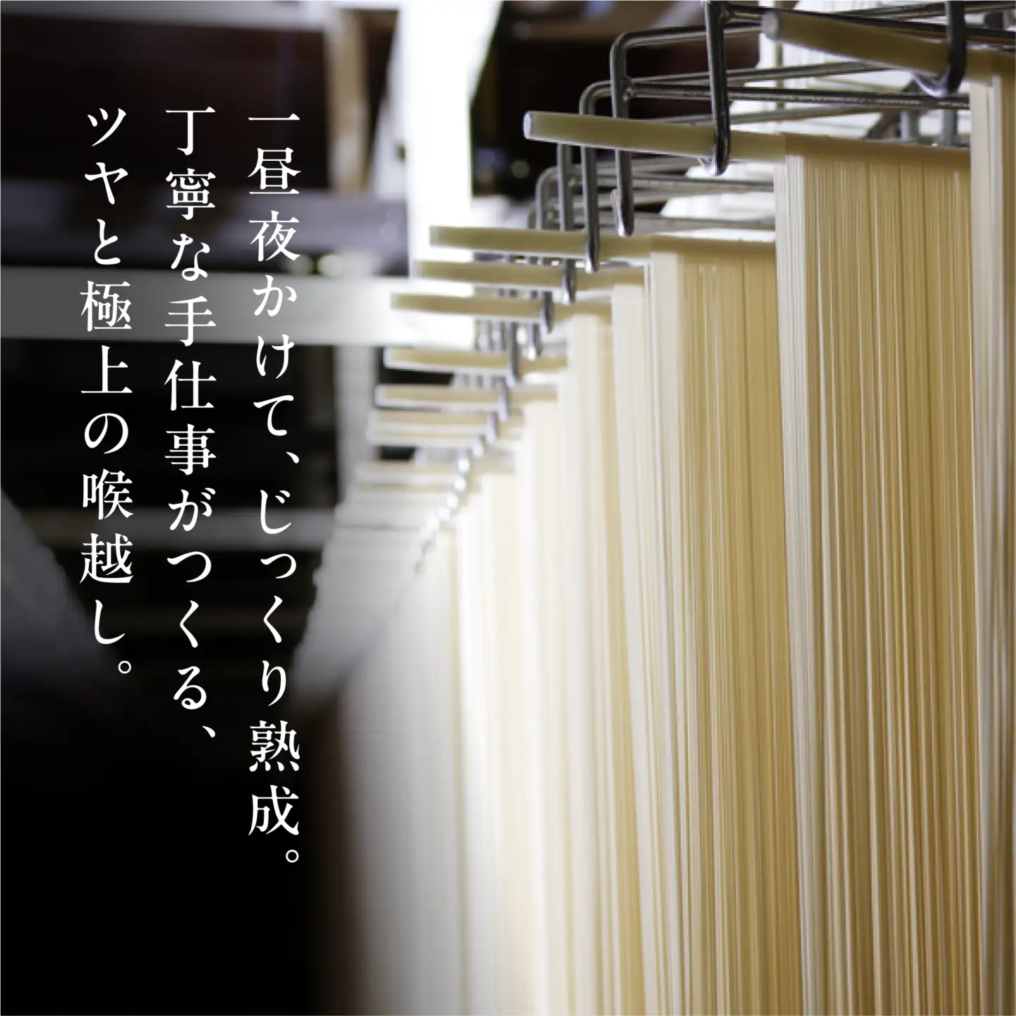 雪国の国産小麦そうめん 12袋入り (1袋 200g) 乾麺　010-F-UZ019