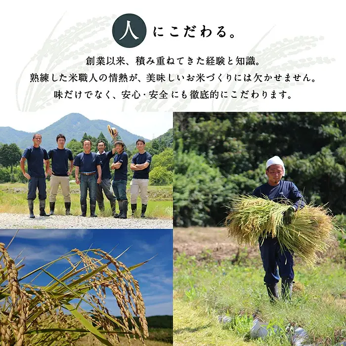 【6回定期便】令和8年産 新米 コシヒカリ 山里清流米 精米 5kg × 6回 ジャパンファーム
