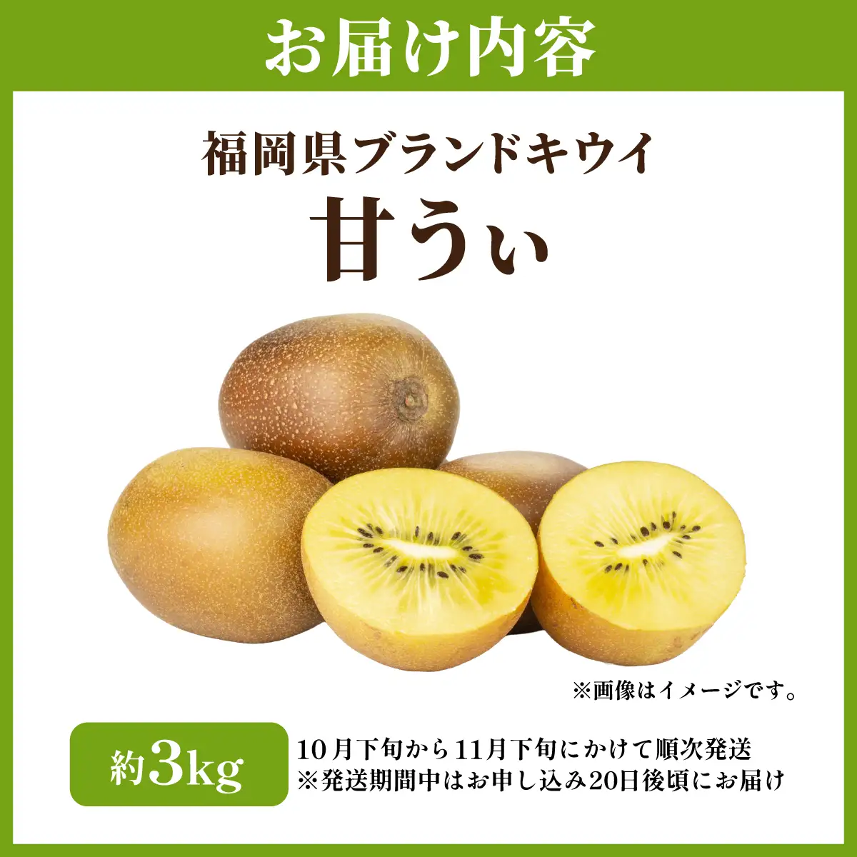 福岡産ブランド キウイ 甘うぃ 約3kg（10月下旬より発送）