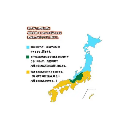 【2027年1月より発送】高知県産 立目ぽんかん 5kg 贈答用 特上品 みかん 須崎市 KJS023