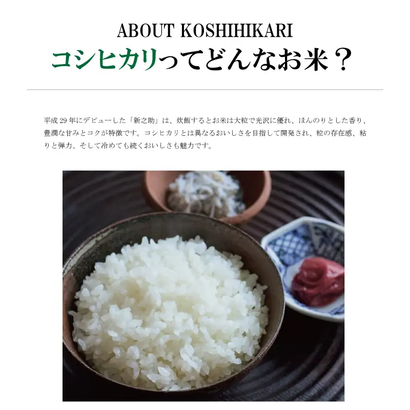 令和8年 新米 新潟県上越市産 穂希 コシヒカリ お試し2合300g 精米 株式会社MSD