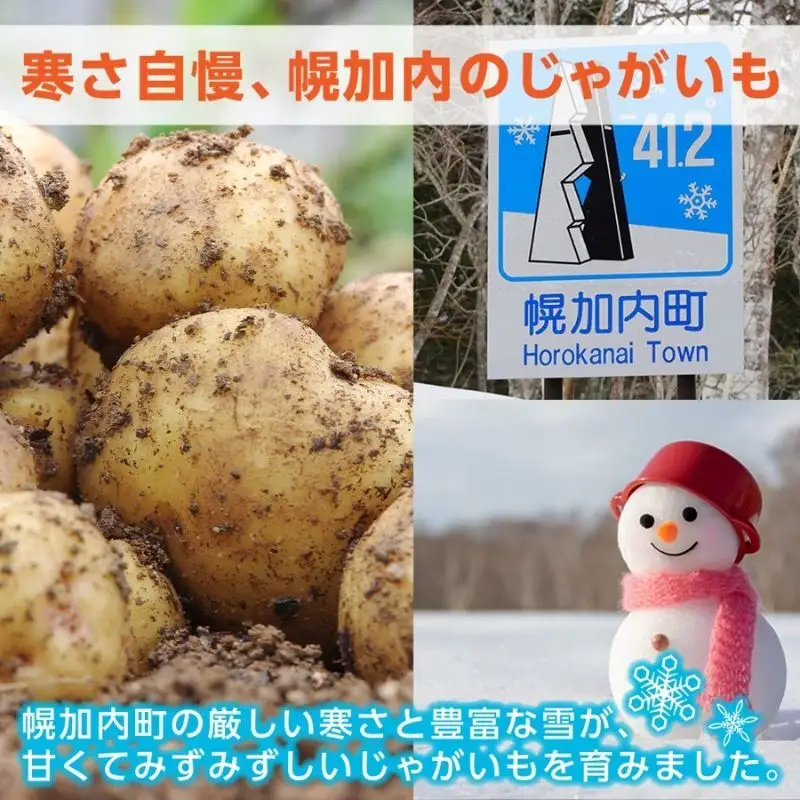 北海道産 訳あり じゃがいも 男爵  約9.3kg 不揃い サイズ不選別 ジャガイモ 馬鈴薯 ポテト 芋 いも 旬 冬 農作物 訳アリ 規格外 家庭用 北海道 お取り寄せ 産地直送 笠井ファーム 送料無料 幌加内