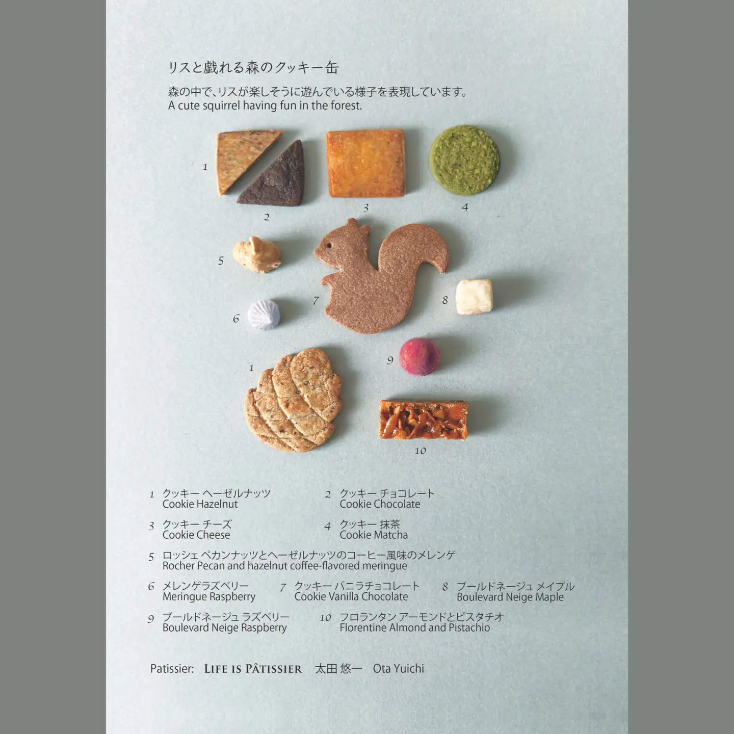 リスと戯れる森のクッキー缶 [11種] スイーツ 洋菓子 焼き菓子 クッキー 焼き菓子詰合せ クッキー缶 お菓子 おやつ ギフト プレゼント 贈り物_0121-001-se8