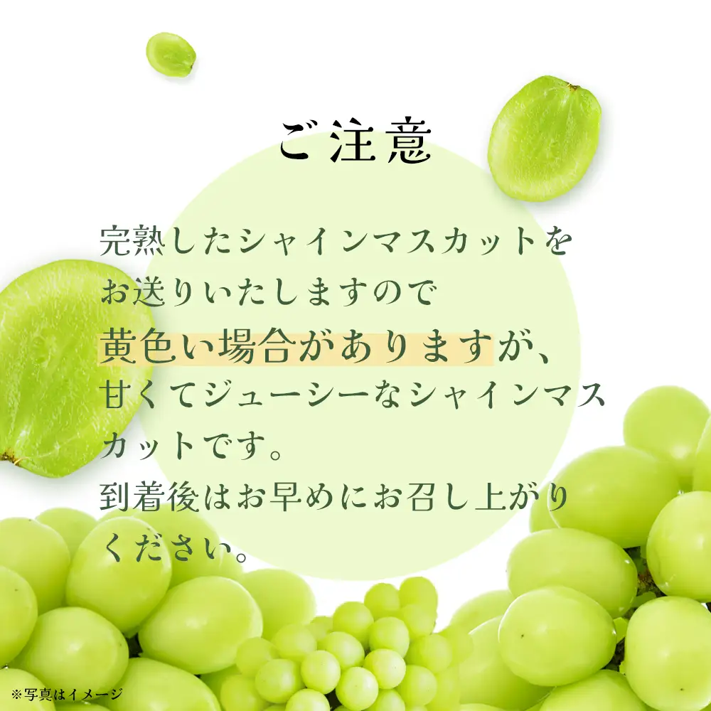 【訳あり】シャインマスカット　2kg　【11218-1101】
