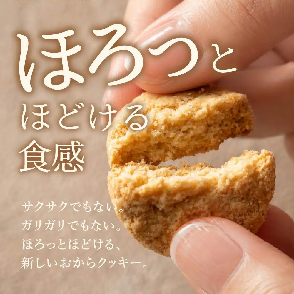 国産 おからクッキー(ココア) 1kg(100g×10袋)