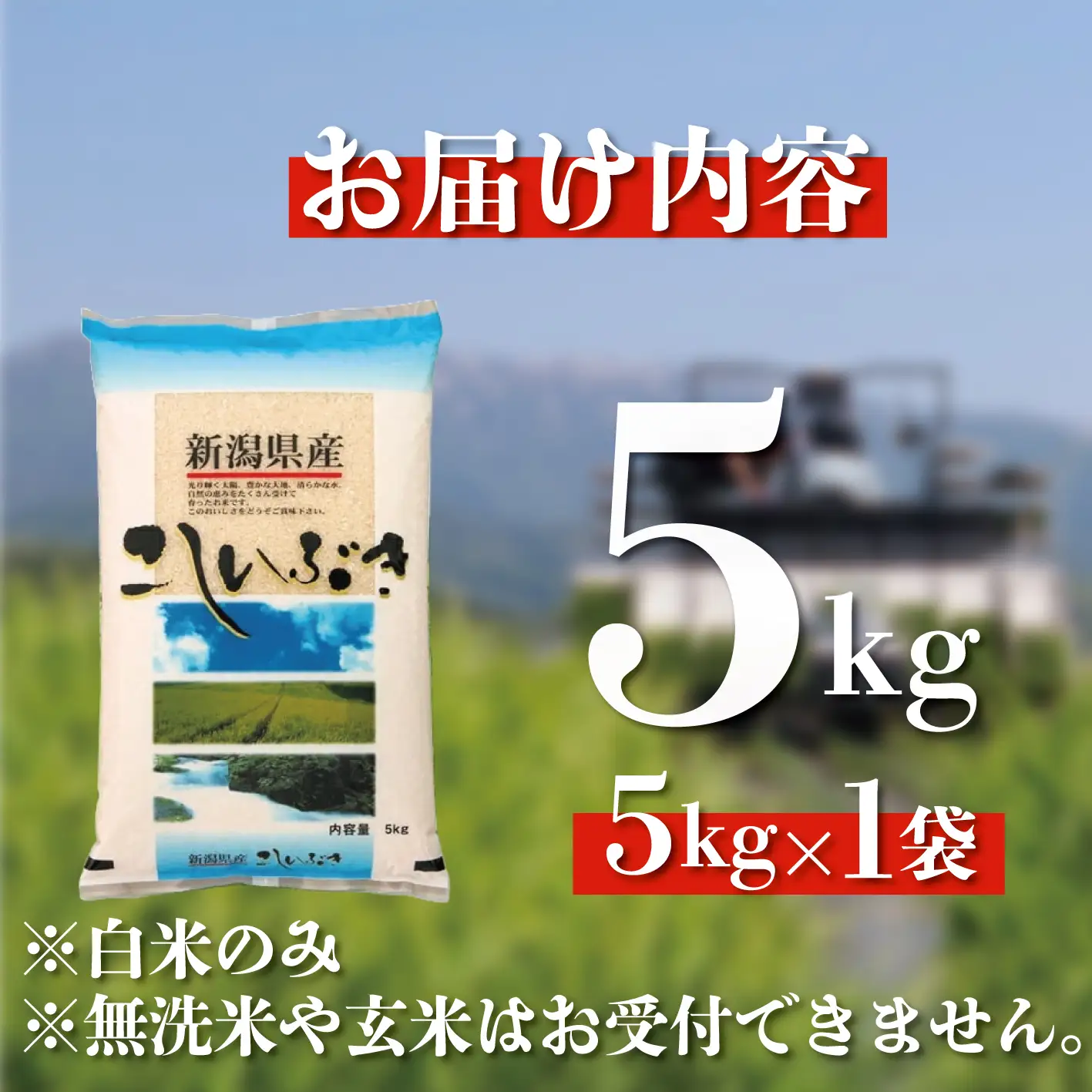 令和8年産 こしいぶき 5kg ご飯 備蓄 コメ お米 米 こめ しんまい 新潟産 新潟米 新潟県 新潟 新発田 新発田市 国産 新発田市産 斗伸 toushin061_02