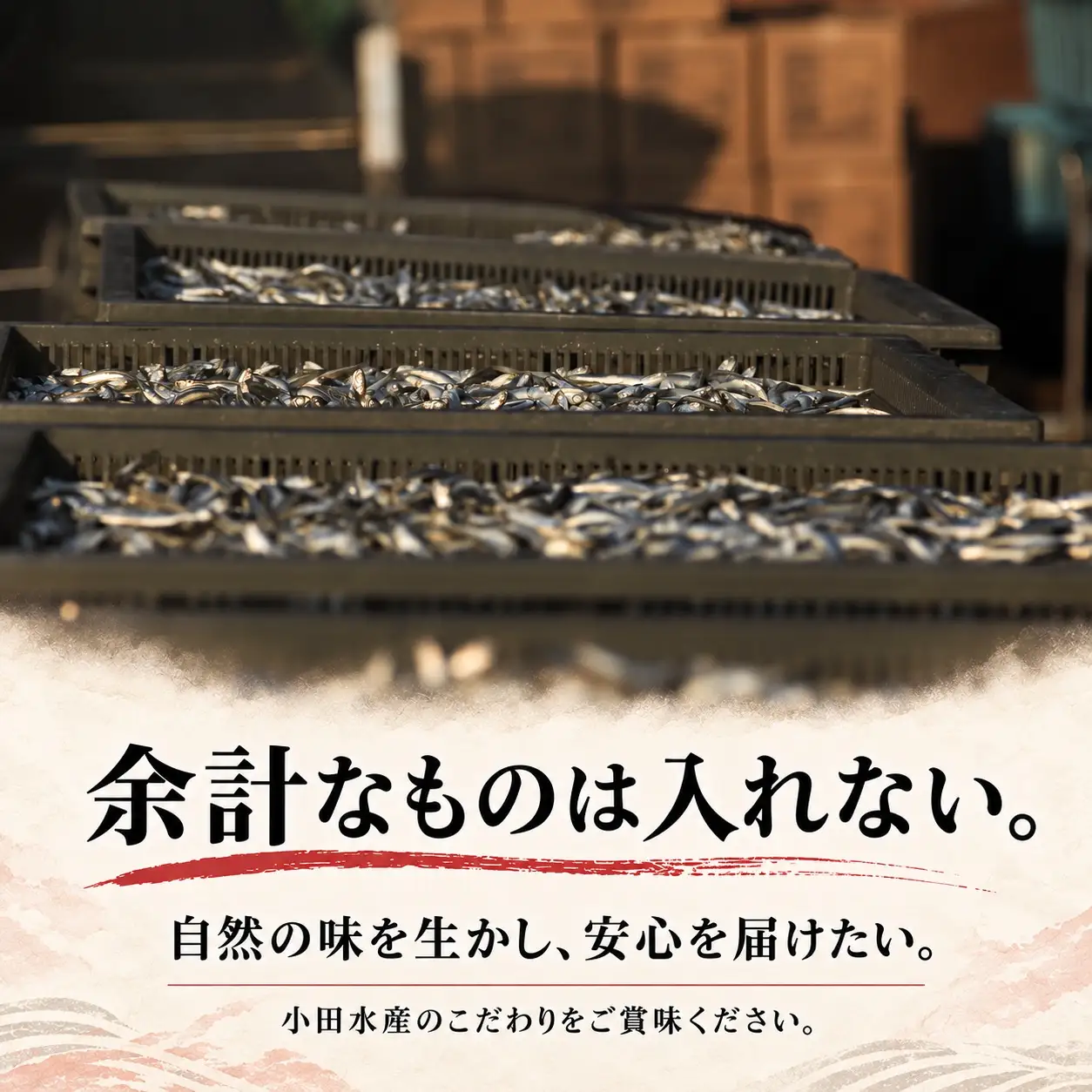 瀬戸内の幸 詰め合わせ（ハモ明太・サヨリ開き・田作り）