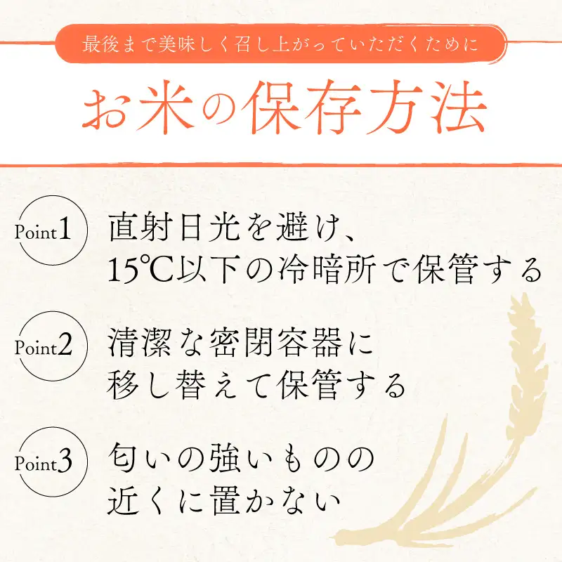 令和8年産 新米 コシヒカリ 10kg 精米 白米 滋賀 彦根