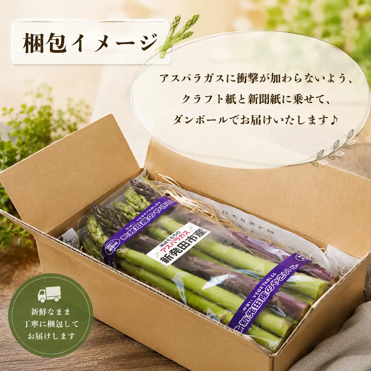 令和9年夏 アスパラガス Lサイズ 1kg 先行予約 アスパラ アスパラ アスパラ 新潟 新発田 坂井ファームフーズ sakai001