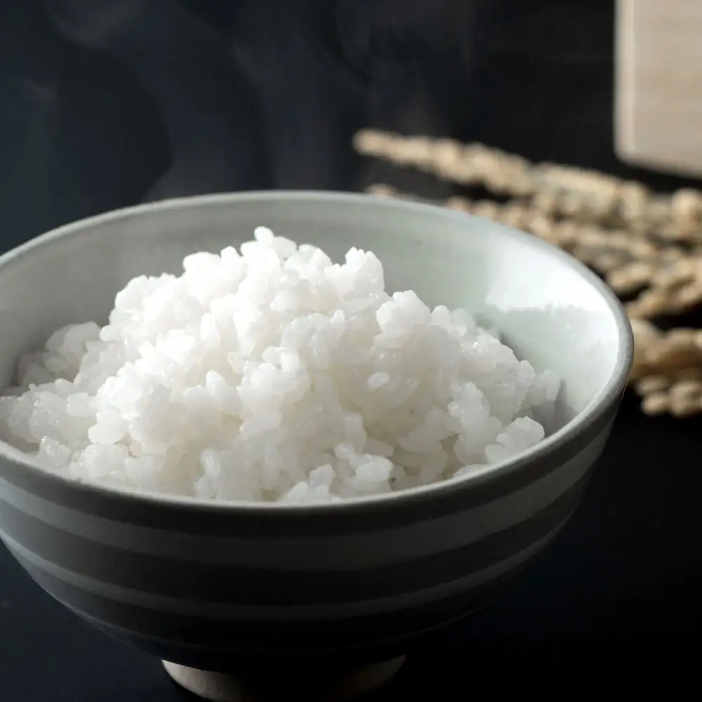 令和8年産 ヒノヒカリ 3kg お米 米 白米 白飯 ご飯 おにぎり 和食 ブランド米 国産 熊本県産 【 2026年11月上旬～2026年12月下旬発送予定 】