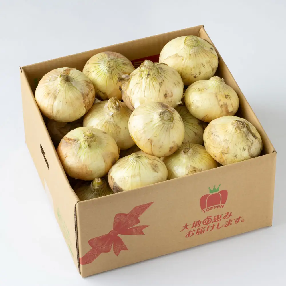 熊本市産 とろたまねぎ 約5kg （ 20玉前後 ） 玉ねぎ 塩玉ねぎ とろたま 野菜 甘み ジューシー 国産 熊本県産 旬の野菜 サラダ マリネ 炒め物 スープ 【 2027年3月下旬～5月下旬発送予定 】
