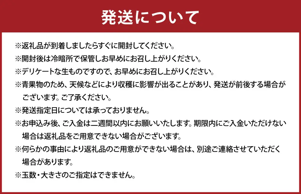 熊本県産 蔵熟デコポン 約2.5kg （ 9 ～ 12玉 ） 果物 フルーツ 果実 果汁 果肉 国産 柑橘 冷蔵 旬 旬の果物 【 2027年4月上旬～5月上旬発送予定 】