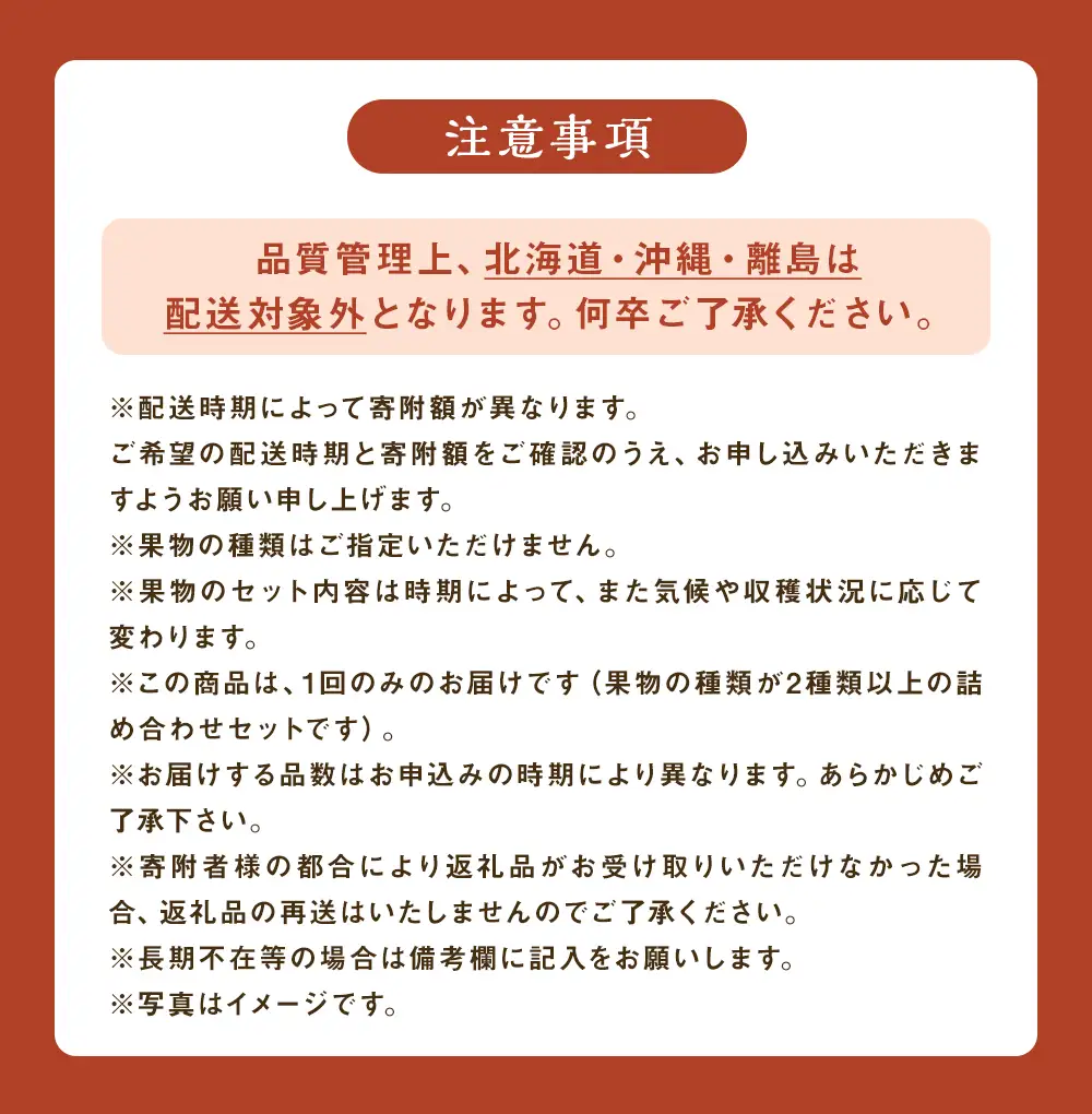 【11月～12月発送】 旬の果物 詰め合わせ セット 福岡県産 フルーツ 季節 果物