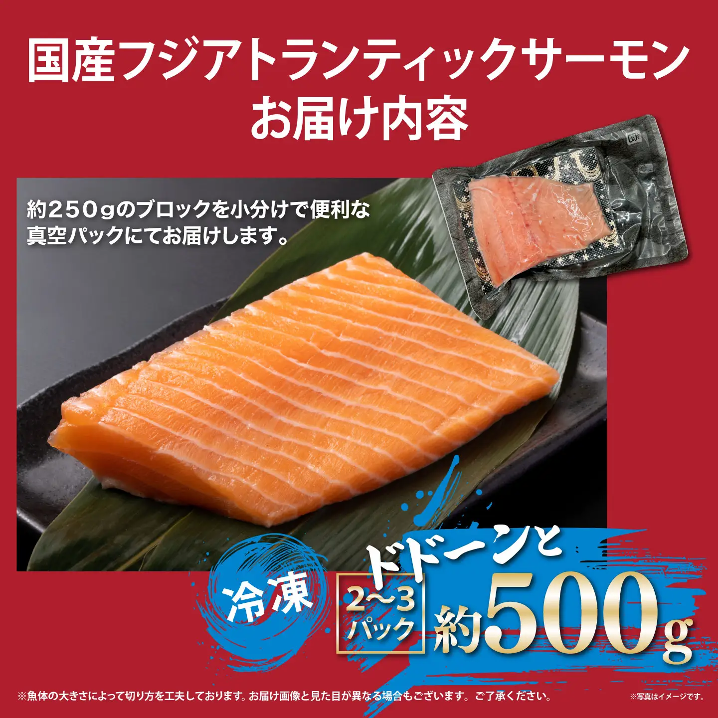 国産サーモン 冷凍 2～3P 約500g（魚体大きめ） サーモン