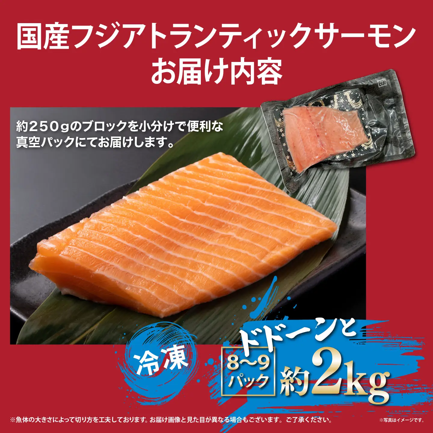 国産サーモン 冷凍 8～9P 約2kg（魚体大きめ） サーモン