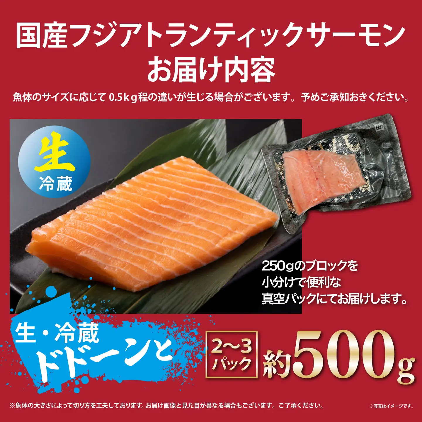 サーモン 約500g（魚体大きめ） 小分け 2～3P 国産サーモン