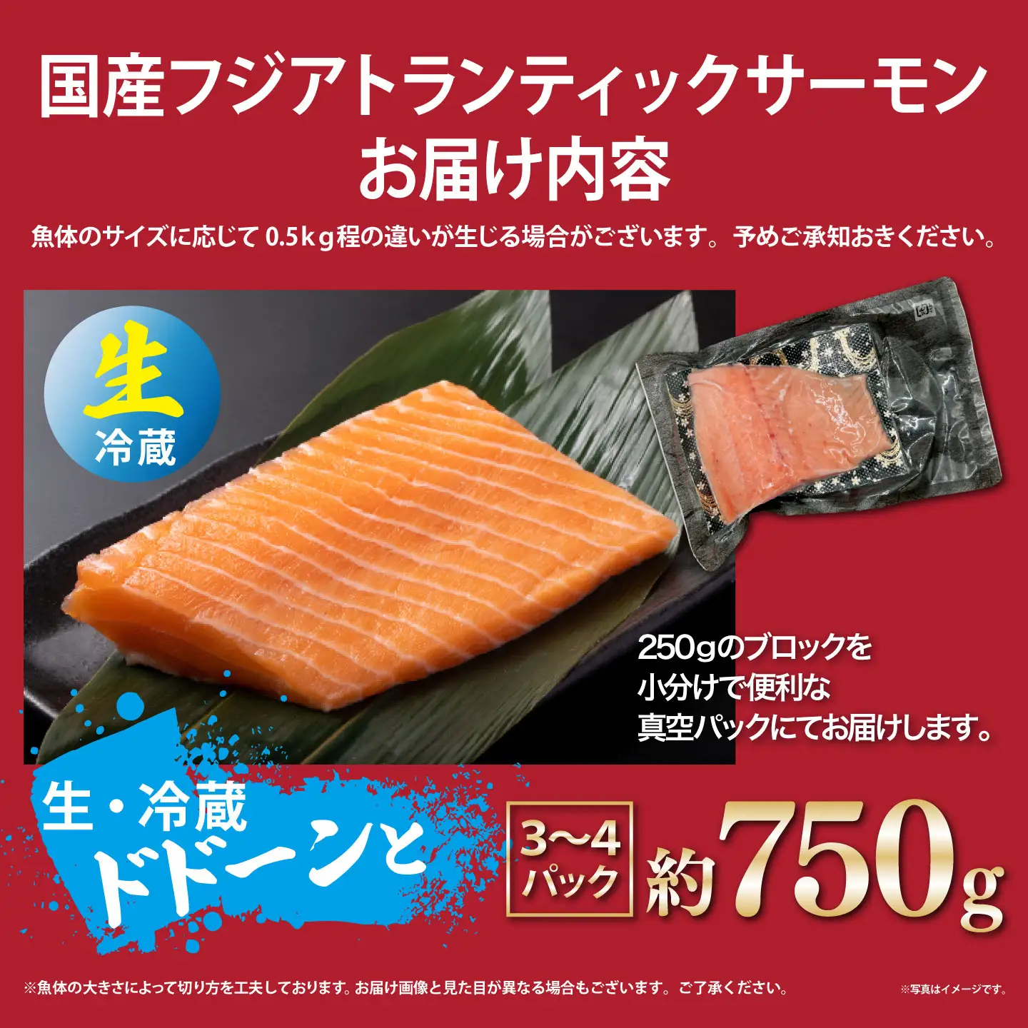 サーモン 約750g（魚体大きめ） 小分け 3～4P 国産サーモン