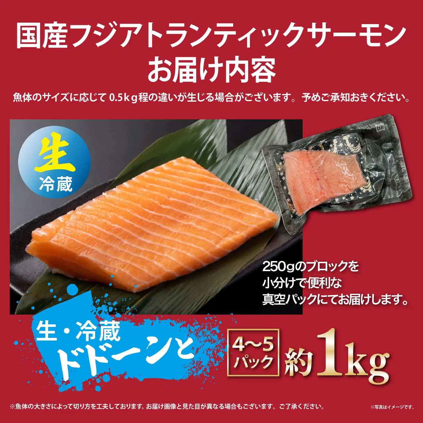 サーモン 約1kg（魚体大きめ） 小分け 4～5P 国産サーモン