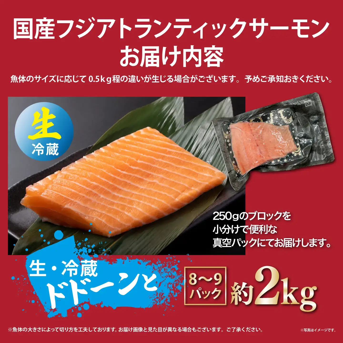 サーモン 約2kg（魚体大きめ） 小分け 8～9P 国産サーモン