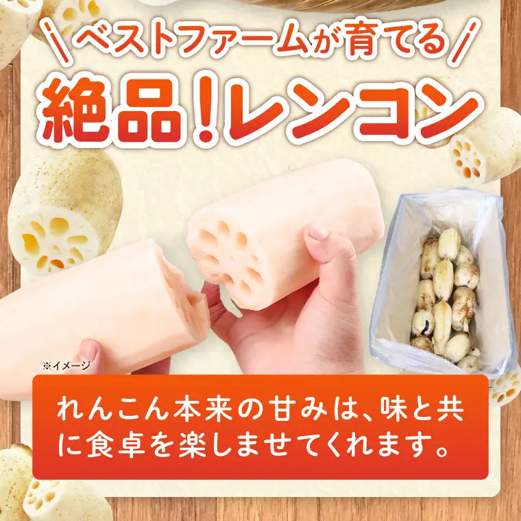 訳あり れんこん 4kg 蓮根 レンコン 野菜 エコ栽培 国産 茨城県産 茨城県 阿見町 新鮮 農家直送 産地直送 （89-04）