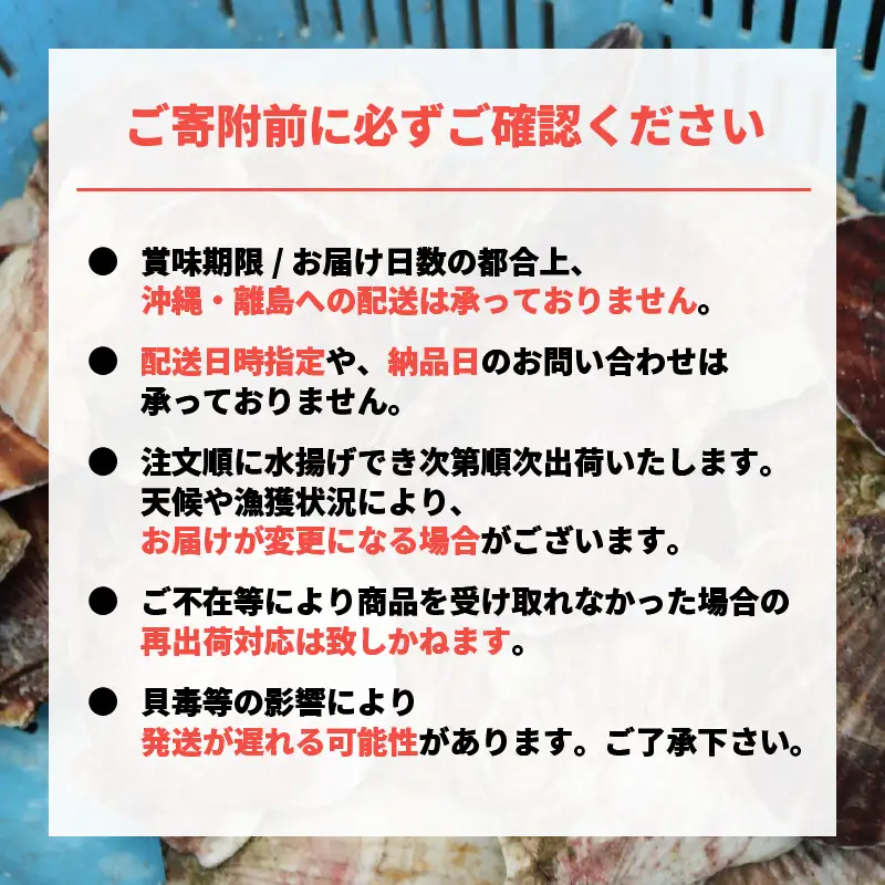 訳あり 活ホタテMサイズ 18枚(10cm~11cm) 軍手 ヘラ付き