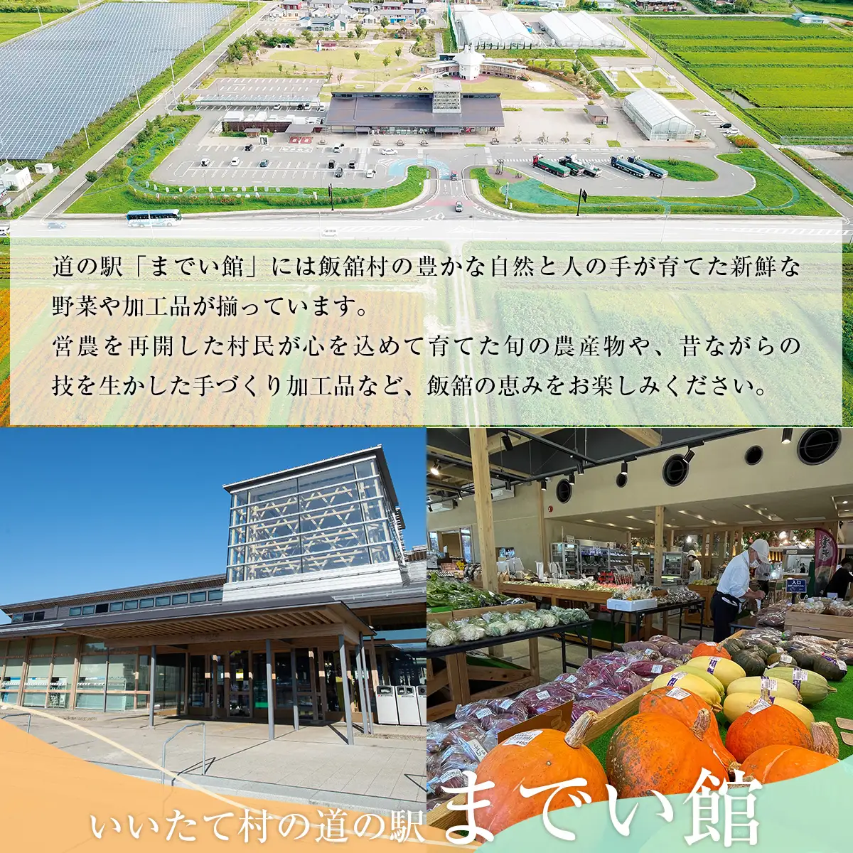 飯舘村 旬の農産物詰め合わせ ITTAM010