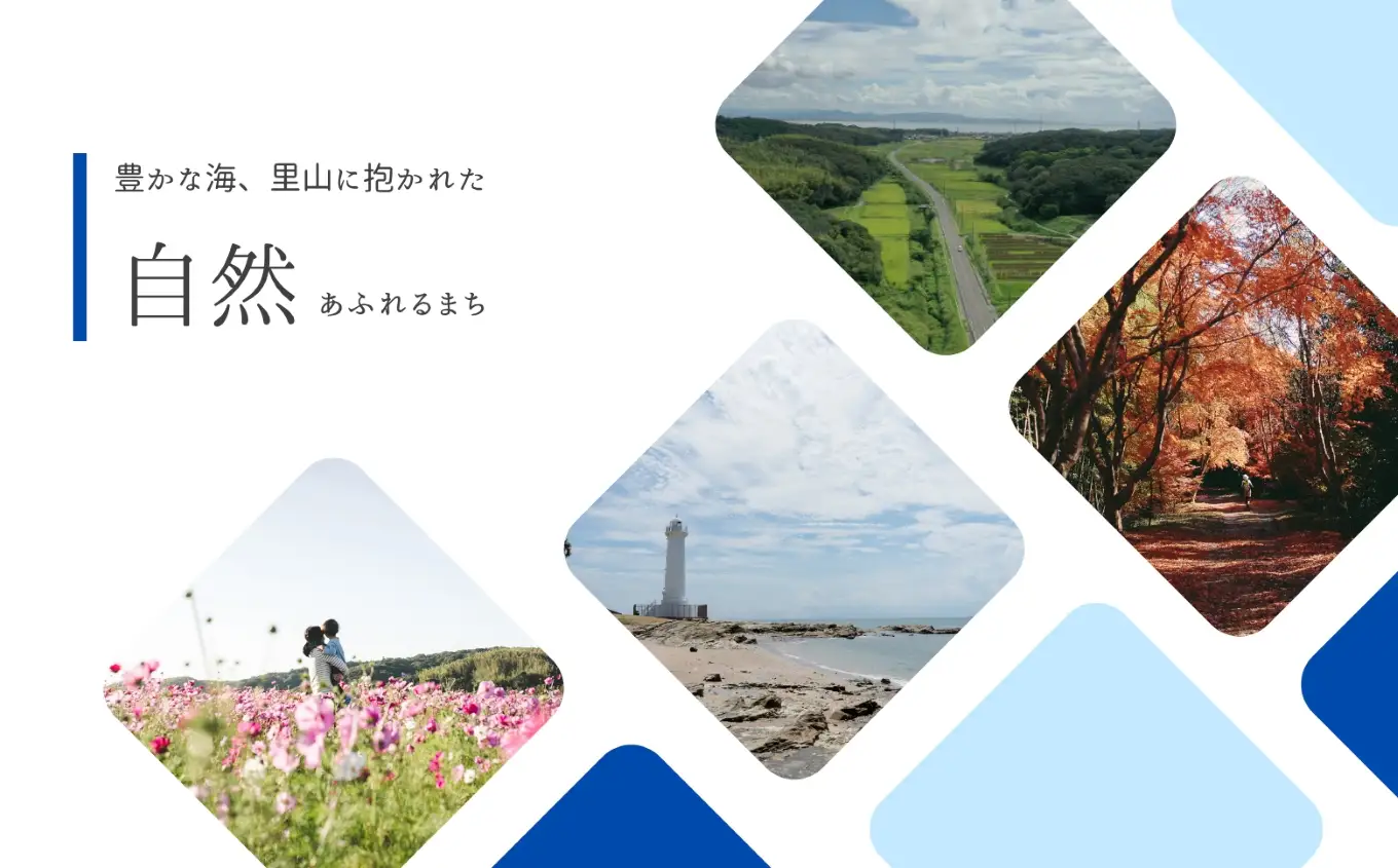 【定期便6回】 【 新米 令和8年産 】愛知県産 コシヒカリ 20kg | 美浜町