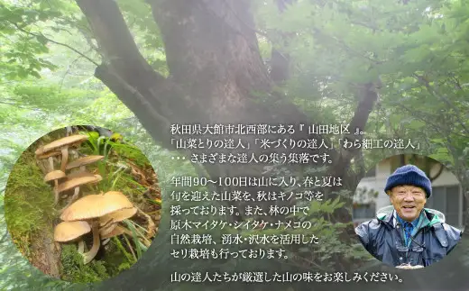 天然きのこ いろいろ水煮 250g × 2 75P079003 【赤坂実】