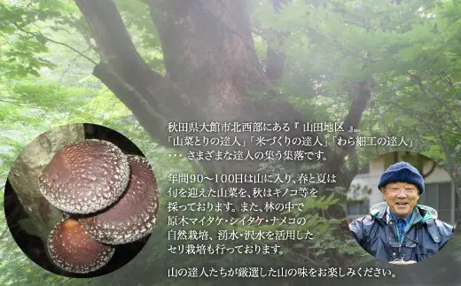 山中栽培の原木きのこ ２点セット 75P079004 【赤坂実】