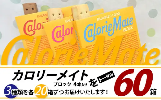 カロリーメイト ブロック 4本入り 3種類 各20箱 計60箱 【大塚製薬 チョコ バニラ メープル 5大栄養素 徳島県 那賀町 非常食 常備食 災害 新生活 備蓄 長期保存 栄養食】MS-9-2