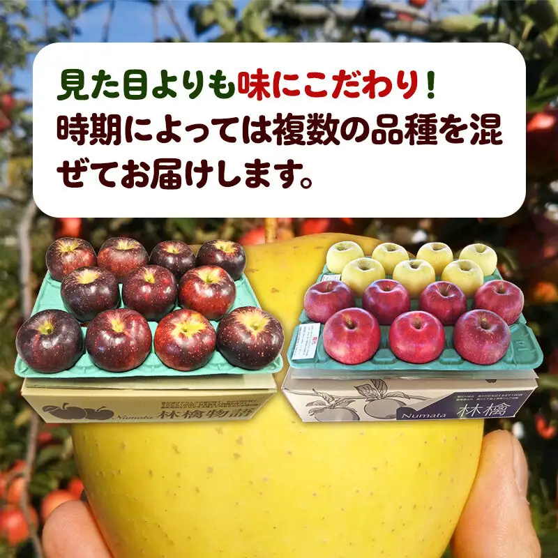 りんご 5kg 園主おまかせ 果樹園マンサーナ