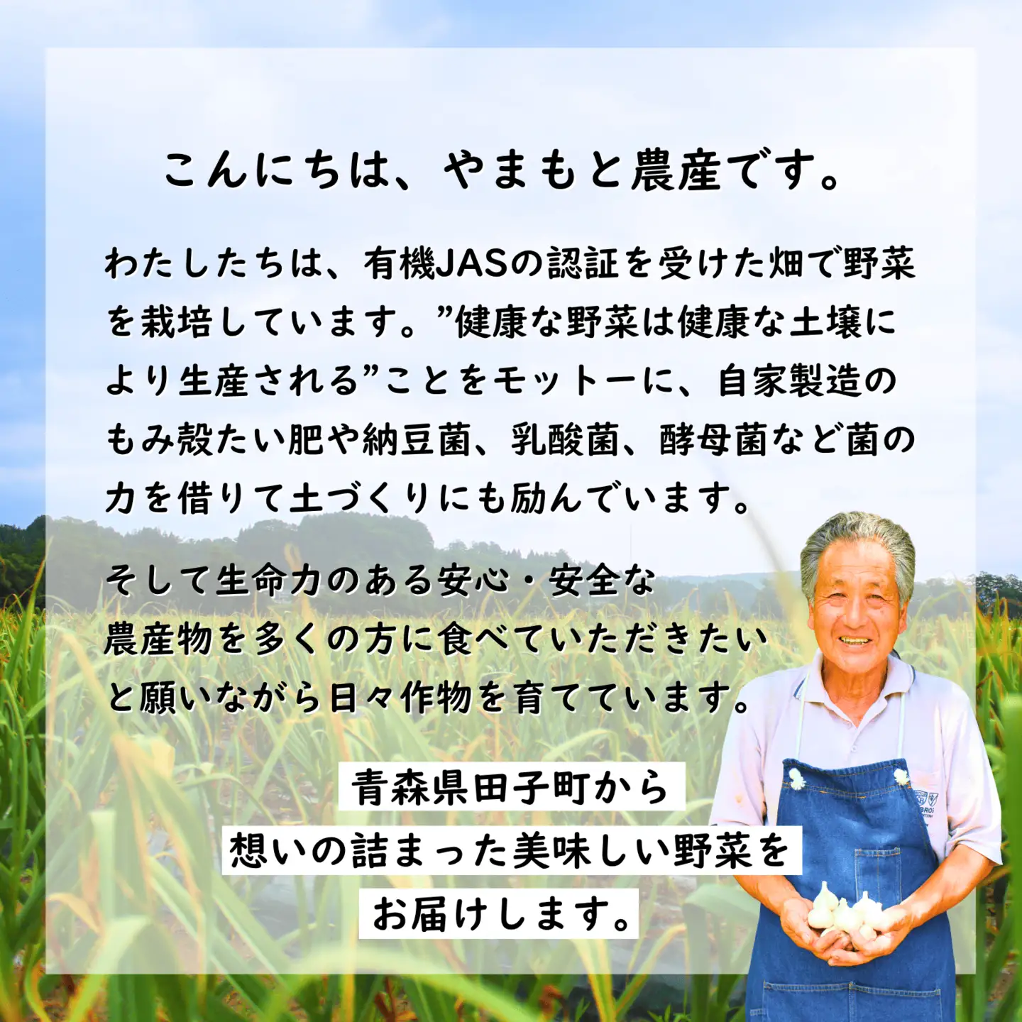 やまもと農産の人参 『京くれない』 5kg