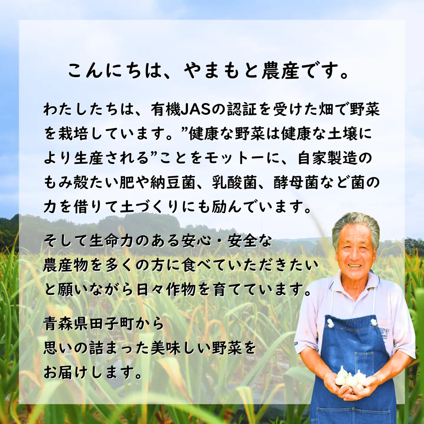 やまもと農産のオーガニック野菜詰め合わせ 約5kg
