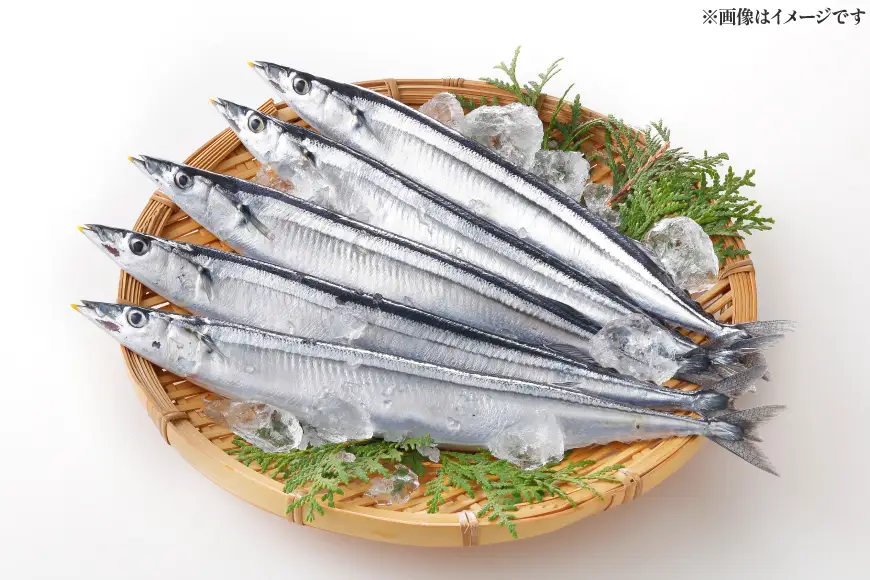 気仙沼産 さんま甘露煮 セット 100g 3パック