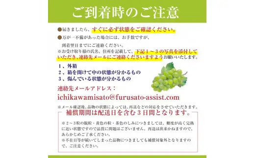 シャインマスカット 【2027年発送】秀品 山梨 3房 (1房約550g) ぶどう 葡萄 山梨県 フルーツ 果物 くだもの ギフト 産地直送 人気  Inakakara厳選 [5839-1979]