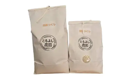 元気つくし 10kg 玄米 お米 米 こめ コメ 飯 ご飯 おにぎり 国産 福岡県産