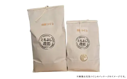 夢つくし 10kg 無洗米 お米 米 こめ コメ 白飯 飯 ご飯 おにぎり 国産 福岡県産