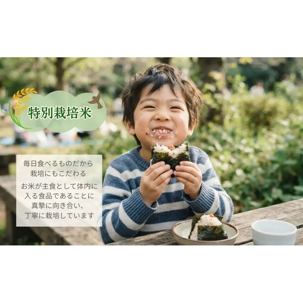 【令和8年産】コシヒカリ 白米5kg 特別栽培米 / 単発 / 米 こめ お米 精米済 ブランド 美味しい 人気 おすすめ 新米 奈良県 宇陀市 米工房はやし ふるさと納税