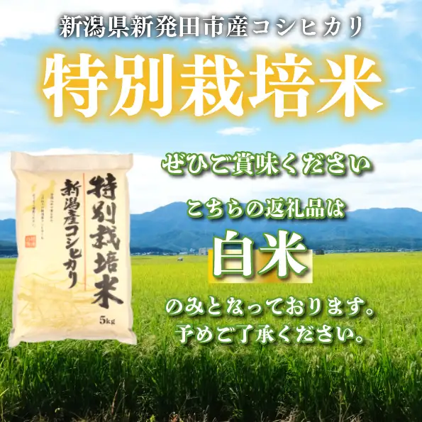 【令和8年産定期便】 3ヶ月 定期便 コシヒカリ 白米 5kg 3ヵ月 15kg 令和8年産 特別栽培米 こしひかり 米 お米 こめ 新潟米 新潟県産 新潟産 新潟 新潟県 新発田産 新発田 新発田市 斗伸 toushin074_01