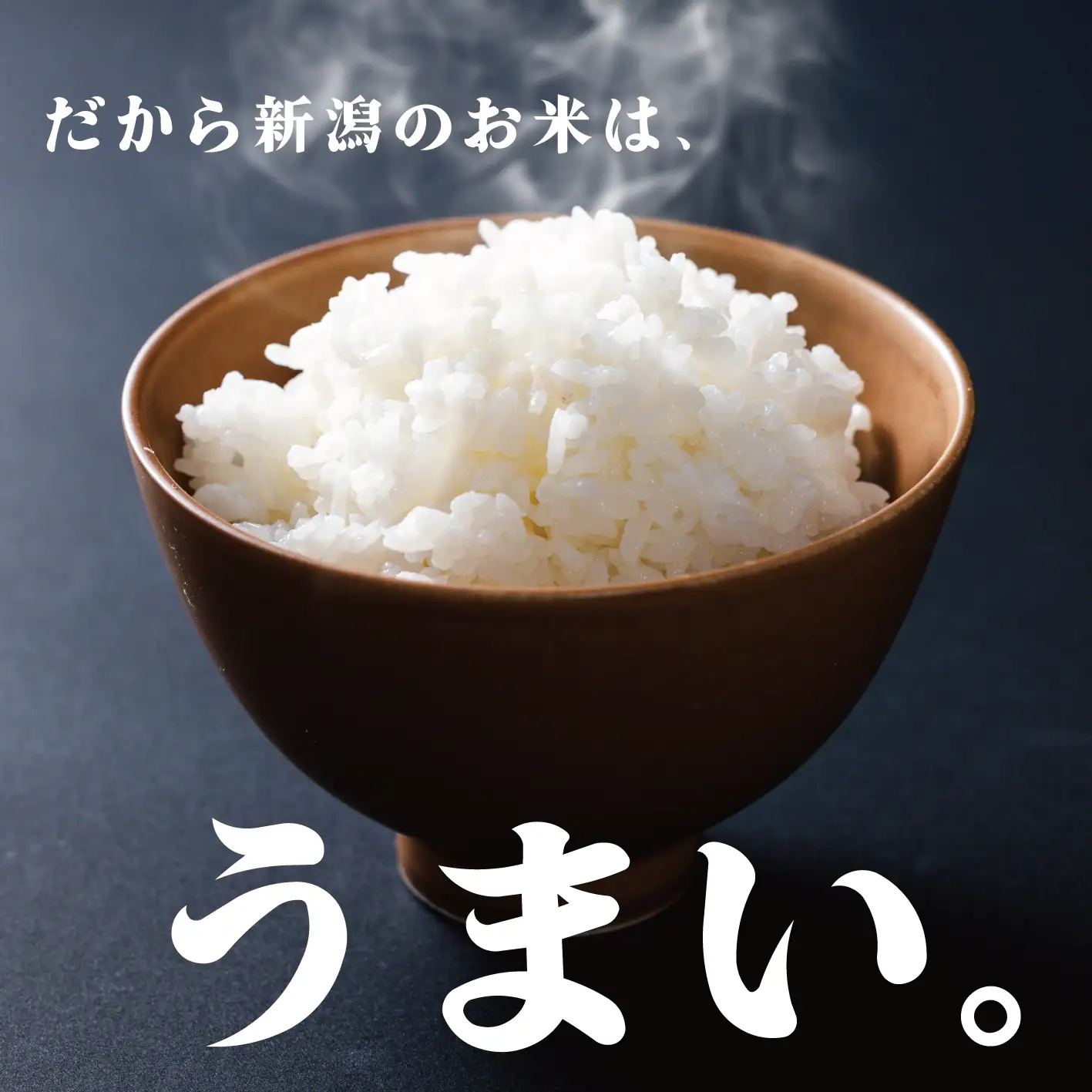 新米 2㎏ コシヒカリ 新潟県産 こしひかり 特別栽培米 米 無洗米 白米 お米 令和8年産 新潟県 新発田市 新潟 新発田 イオン イオンリテール aeon001