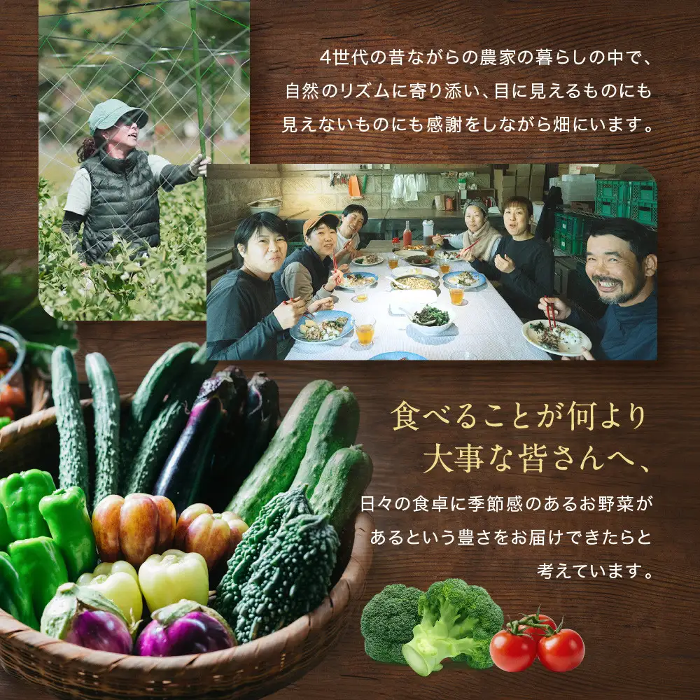 【先行予約　2027年5月より発送】【全6回定期便】農家からお届け！旬のお野菜たっぷり8種セット