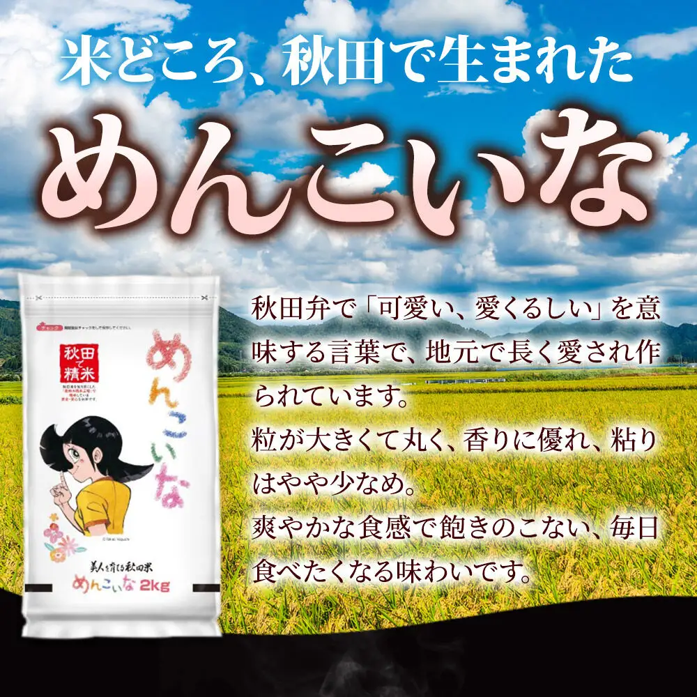 米《定期便9ヶ月》ひとめぼれ・めんこいな【白米（一般精米）】 米どころ秋田県産 令和8年産 精米 4kg（2kg×2袋）