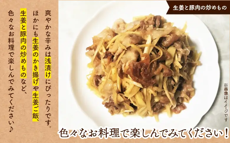生姜 50g×30パック 別役の生姜 しょうが ショウガ 計1500g セット 詰め合わせ 詰め合せ 詰合せ ジンジャー 使いやすい 便利 料理 薬味 調味料 国産 高知県産 野菜 根茎 bc-0032