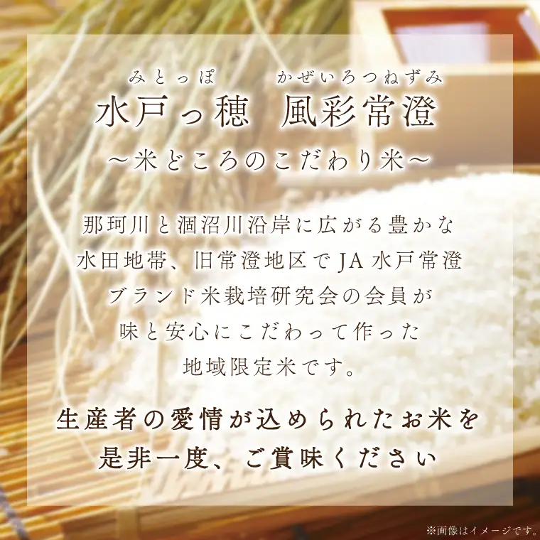 【3ヶ月定期便】 令和8年産 特別栽培米コシヒカリ「風彩常澄」計30kg（10kg×3回）新米 特A（FC-12）