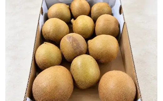 香川県産 さぬきゴールドキウイ 訳あり　約2kg　8-20玉入_Z2600538