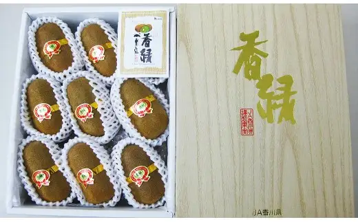 香川県産 香緑キウイ 約1.4㎏化粧箱　7-10玉_Z2600539