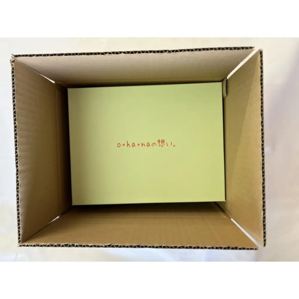 花付きケアシューズohanaの想い　ダリア　Mサイズ【ピンク】