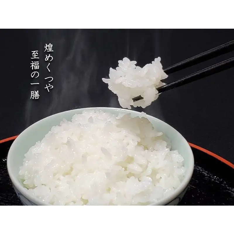 令和8年産先行予約 定期便6回 金賞受賞農家の【特上 雪若丸】5kg×6回 米 精米 F3S-3026