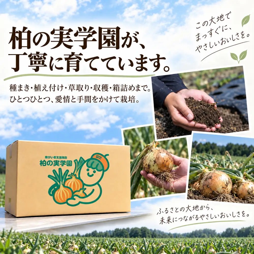 北海道 別海町産 玉ねぎ 10kg セット 農薬・化学肥料不使用 有機肥料 育ち （ ふるさと納税 野菜 訳あり やさい 無農薬 北海道 別海町 ）